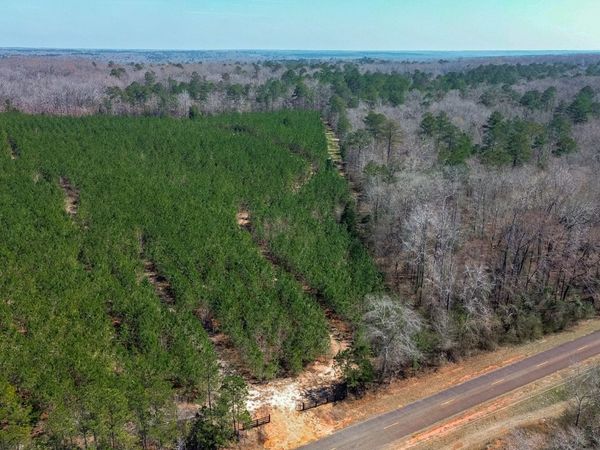 0 Dozier Road, Ellaville, GA 31806