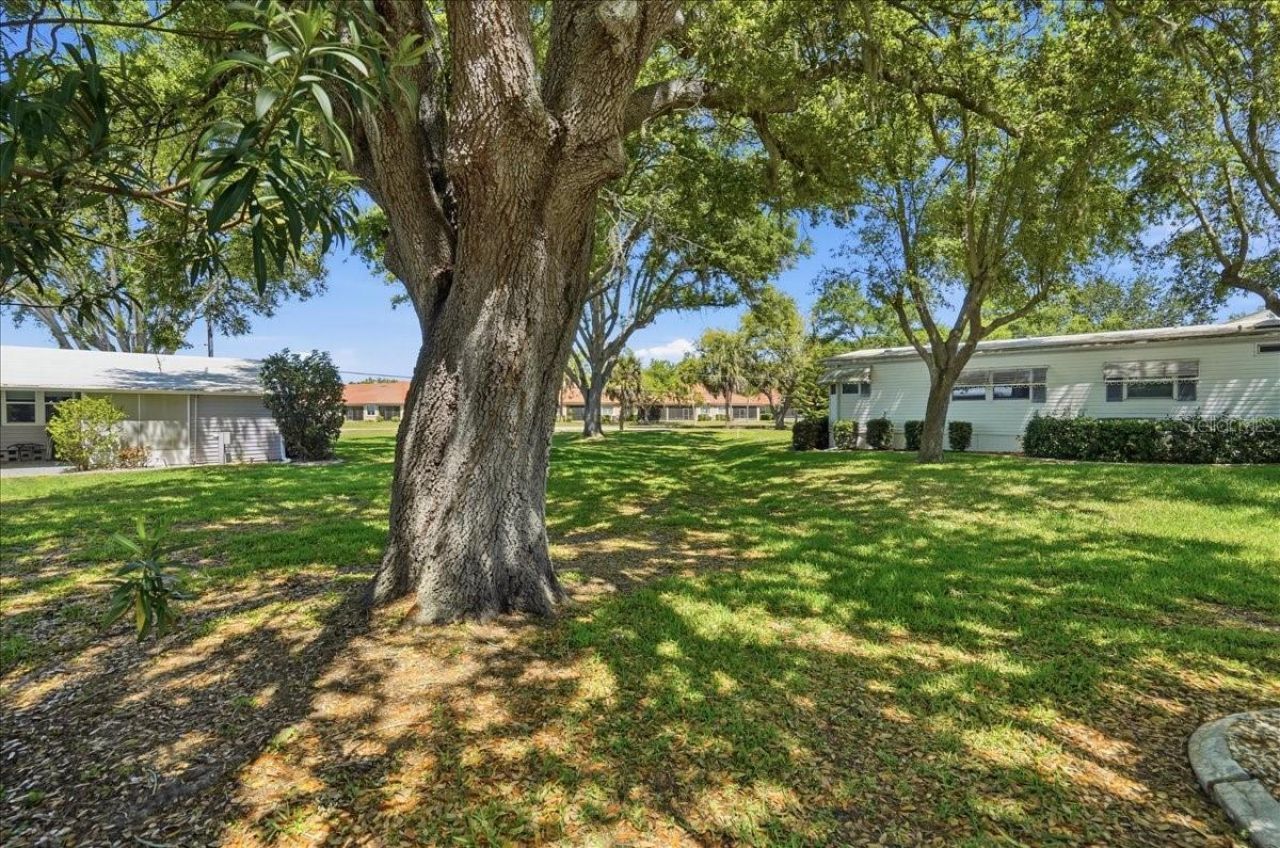 8514 Monarch Place , Palmetto, FL 34221 Photo