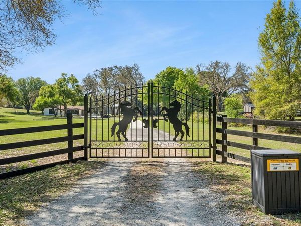 15436 VINOLA DRIVE , MONTVERDE, FL 34756