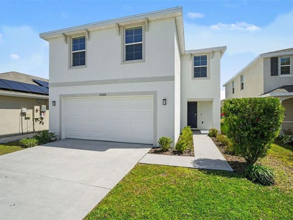 12068 DOWNY BIRCH DRIVE , RIVERVIEW, FL 33569