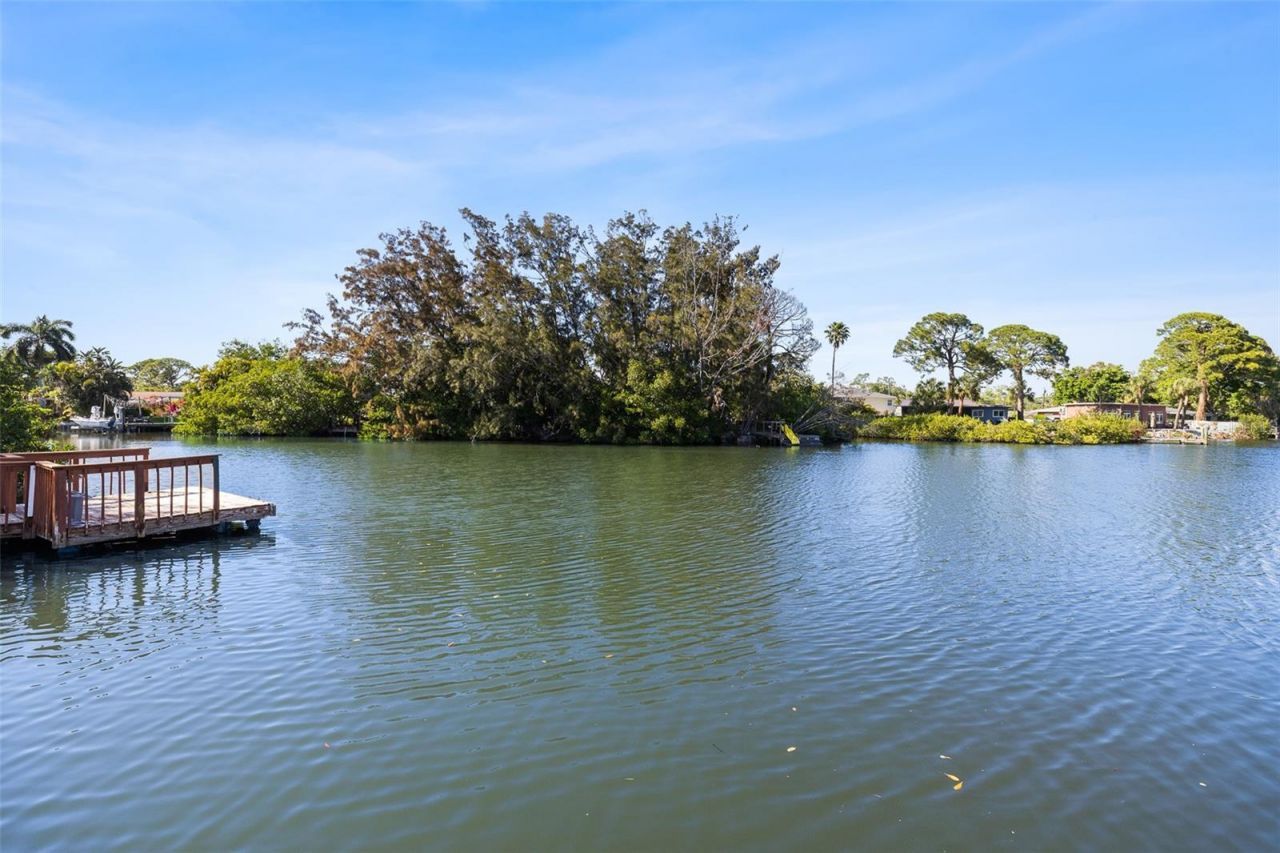 1567 Delaware Avenue Ne, Saint Petersburg, FL 33703 Photo