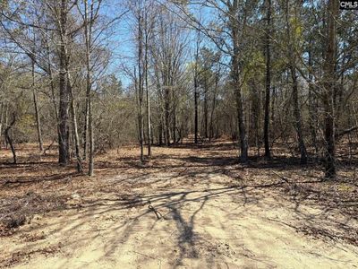 BHL 10 Boise Cascade Road, Bethune, SC 29009