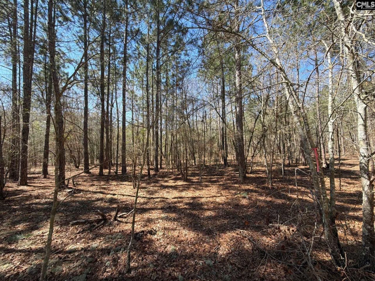 Bhl 10 Boise Cascade Road Photo 10