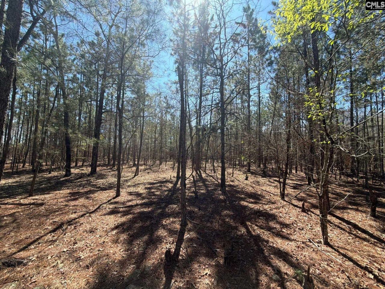 Bhl 10 Boise Cascade Road Photo 11