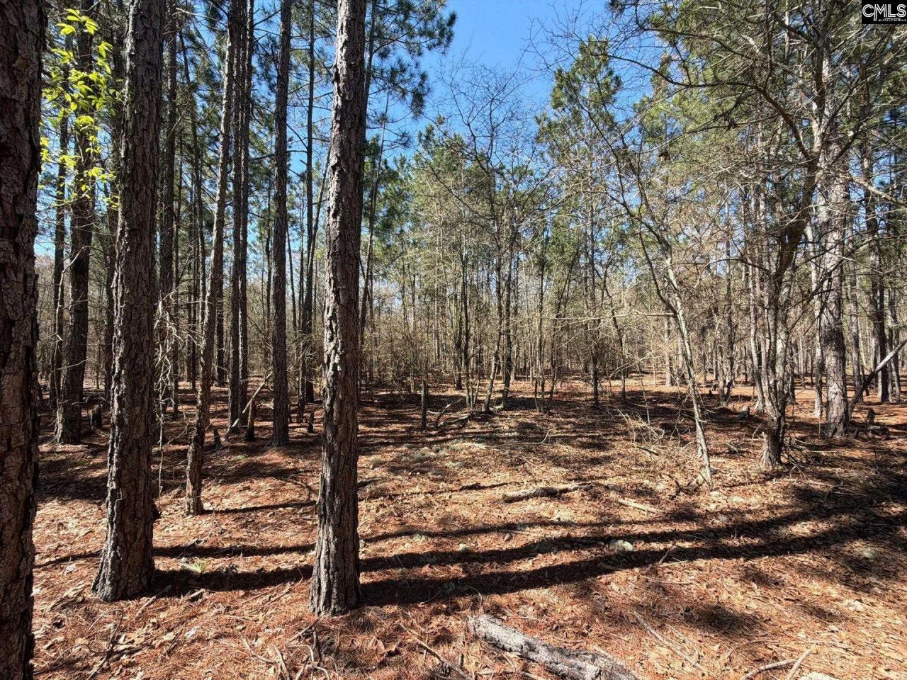 Bhl 10 Boise Cascade Road Photo 12