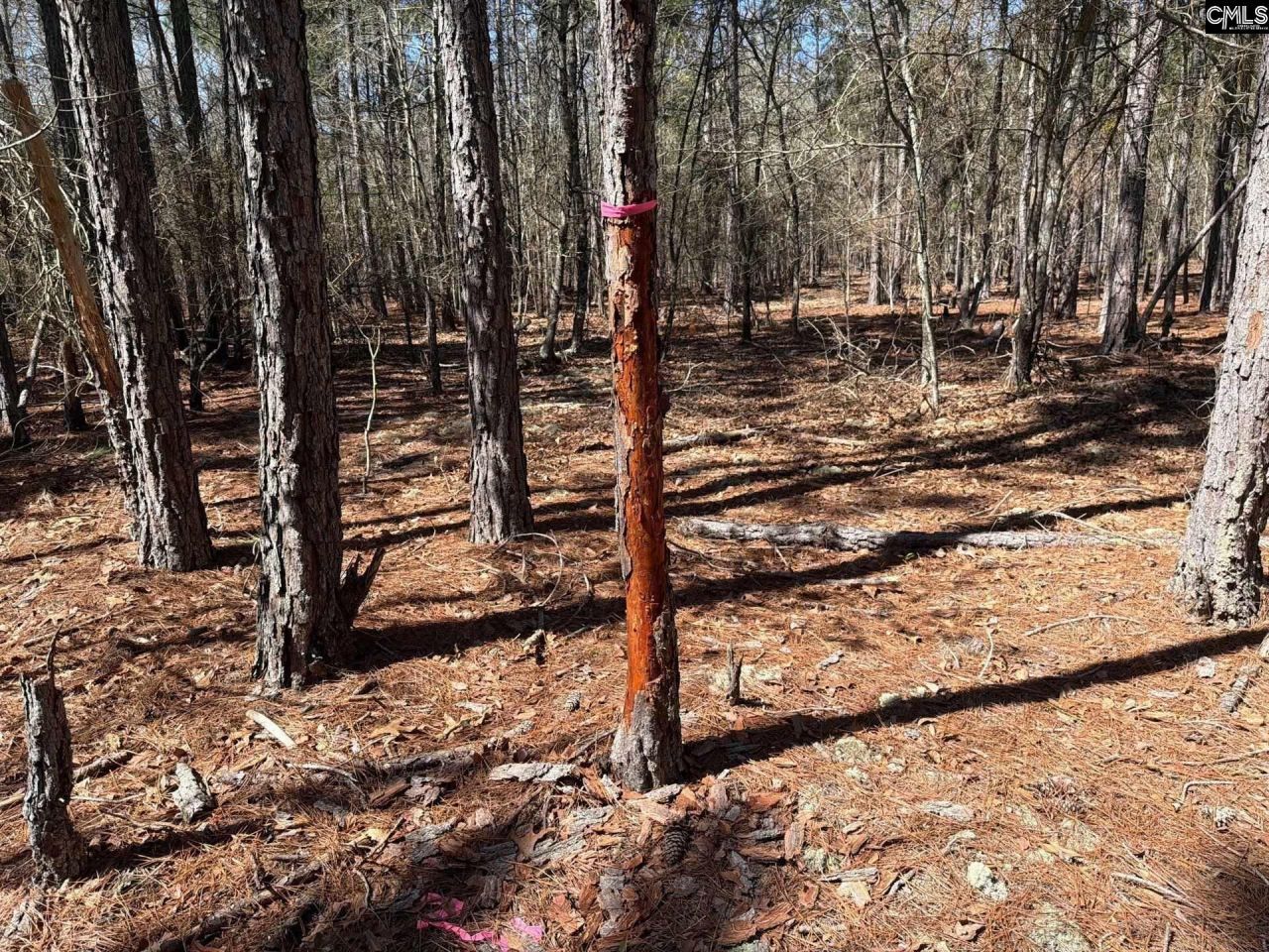 Bhl 10 Boise Cascade Road Photo 13