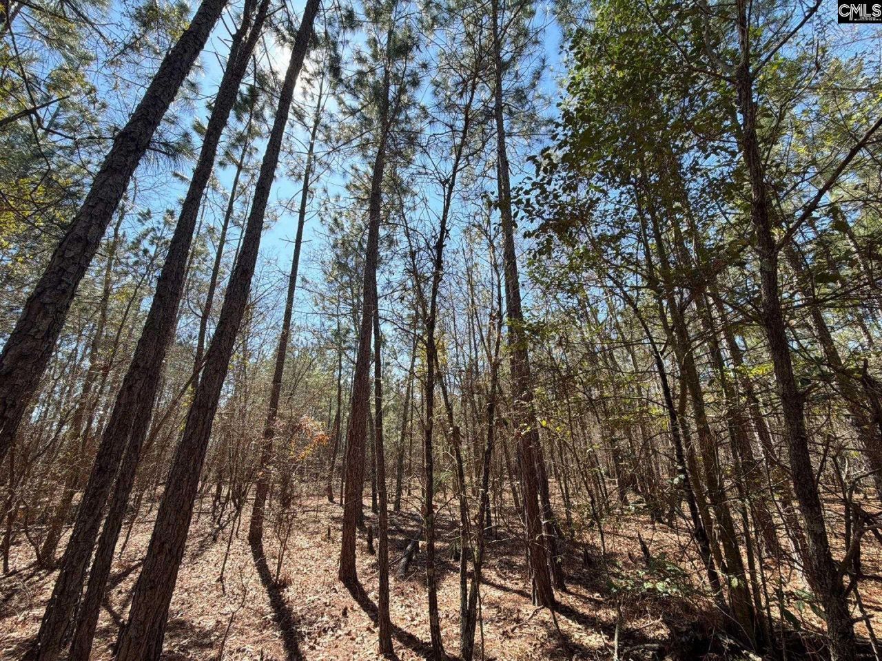 Bhl 10 Boise Cascade Road Photo 14