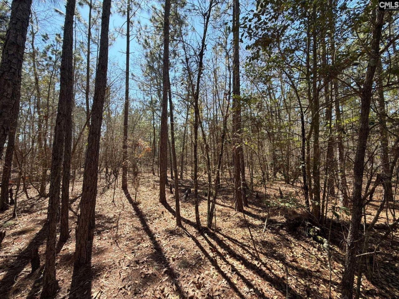 Bhl 10 Boise Cascade Road Photo 15