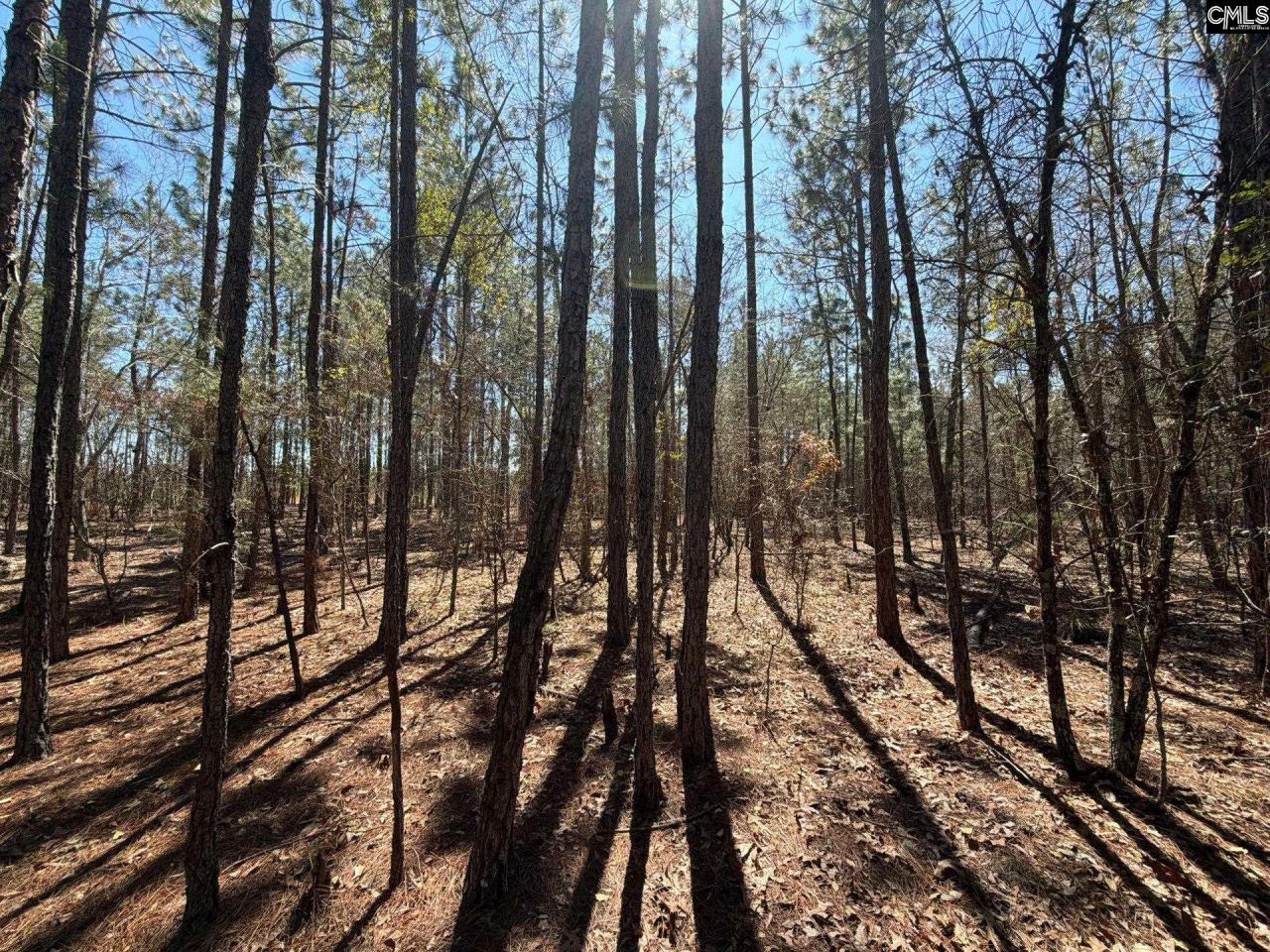 Bhl 10 Boise Cascade Road Photo 16