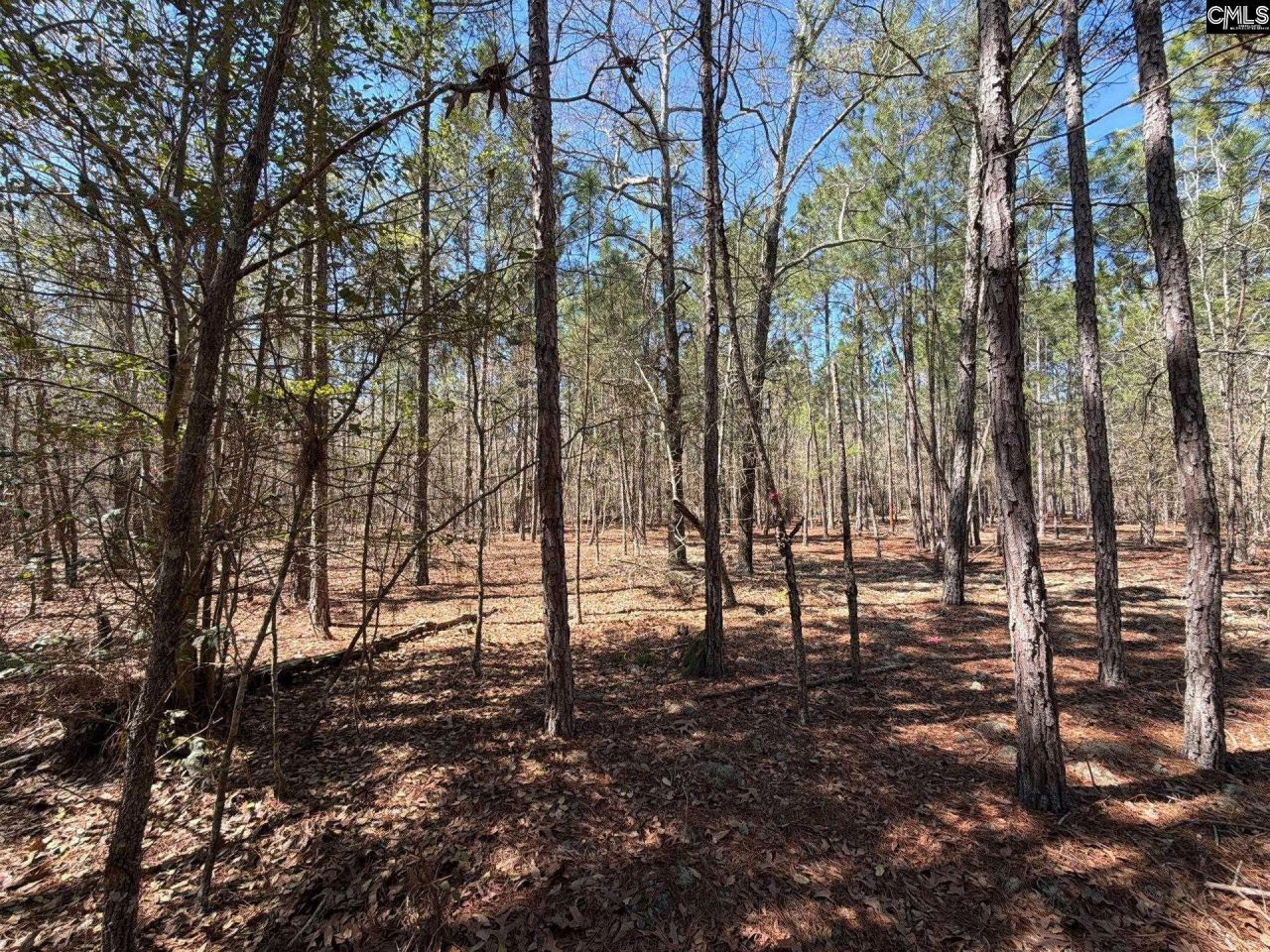 Bhl 10 Boise Cascade Road Photo 17