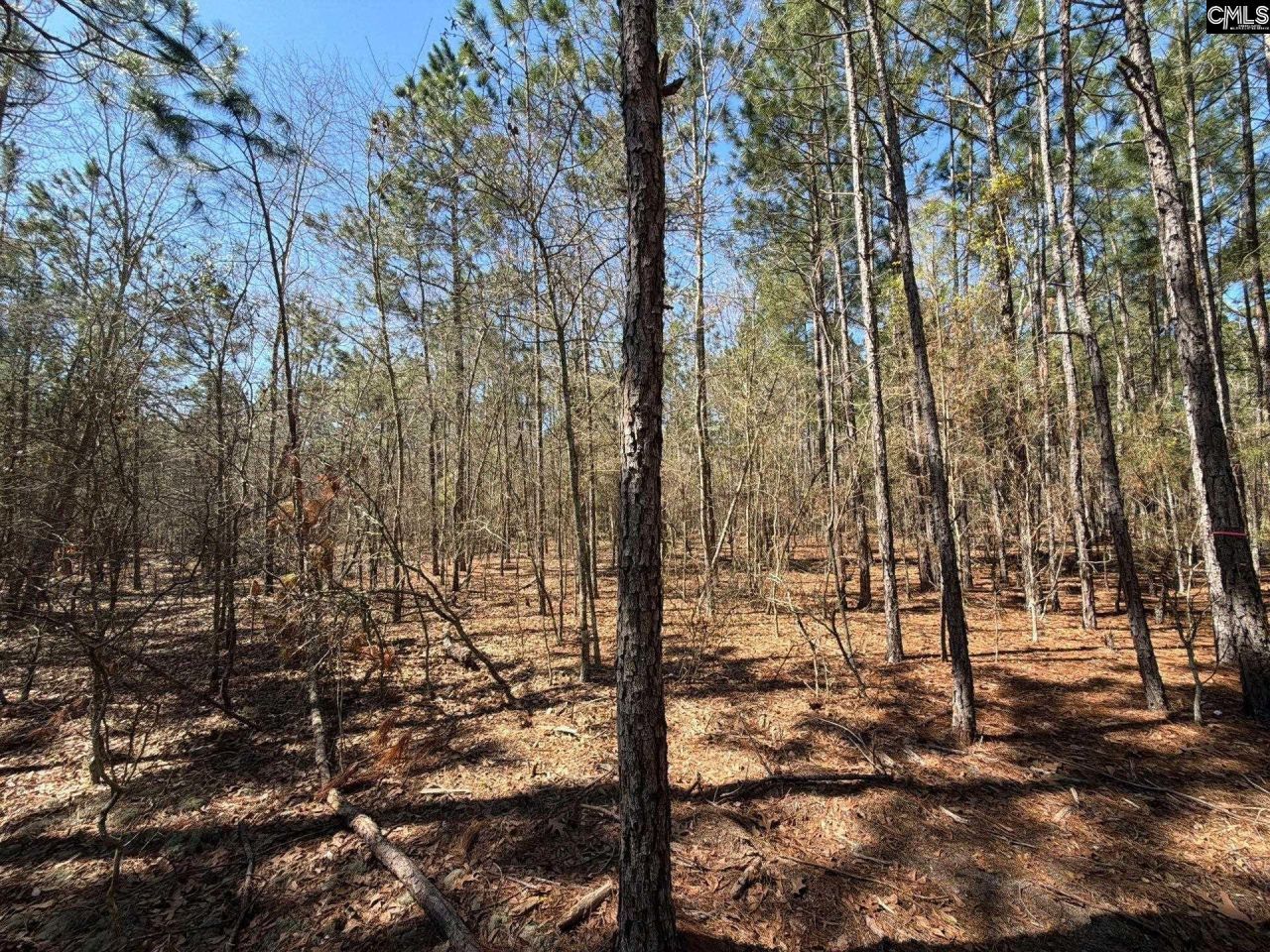 Bhl 10 Boise Cascade Road Photo 18