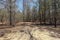 Bhl 10 Boise Cascade Road photo 4