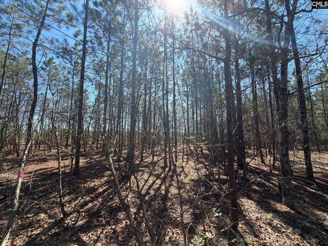 Bhl 10 Boise Cascade Road Photo 20