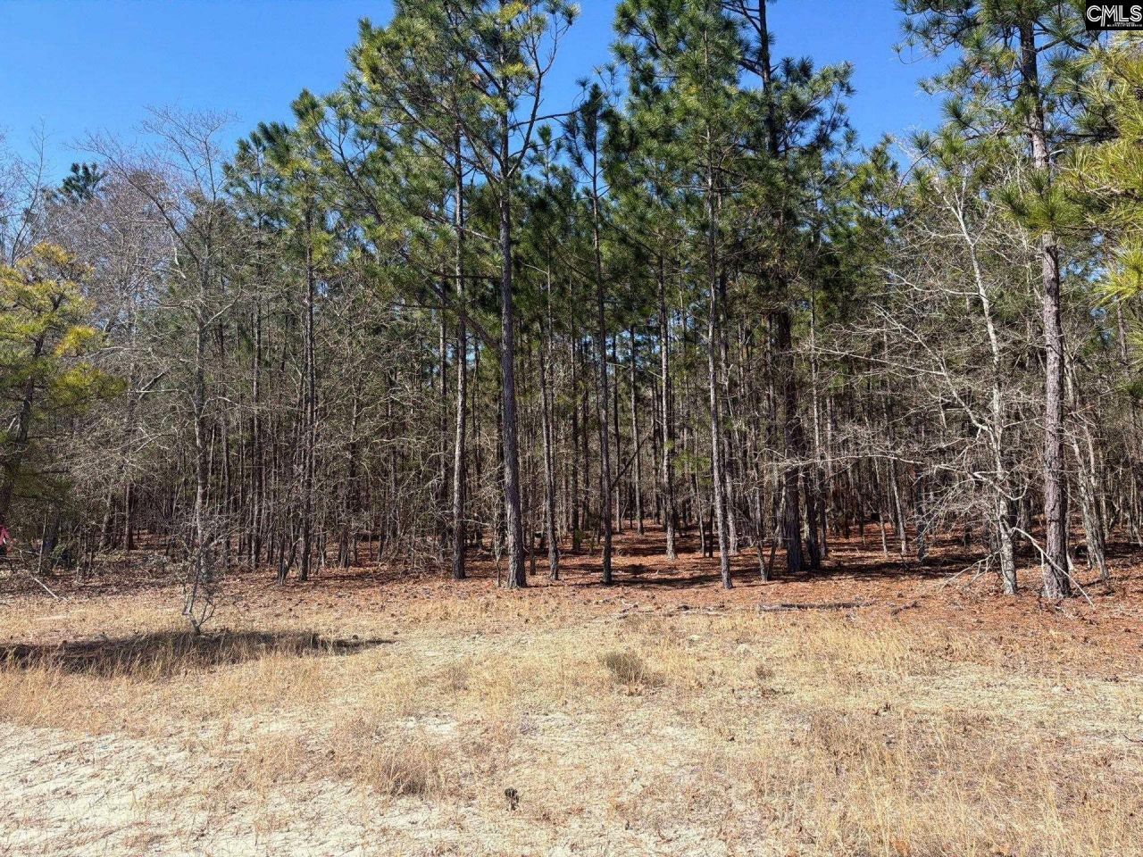 Bhl 10 Boise Cascade Road Photo 22