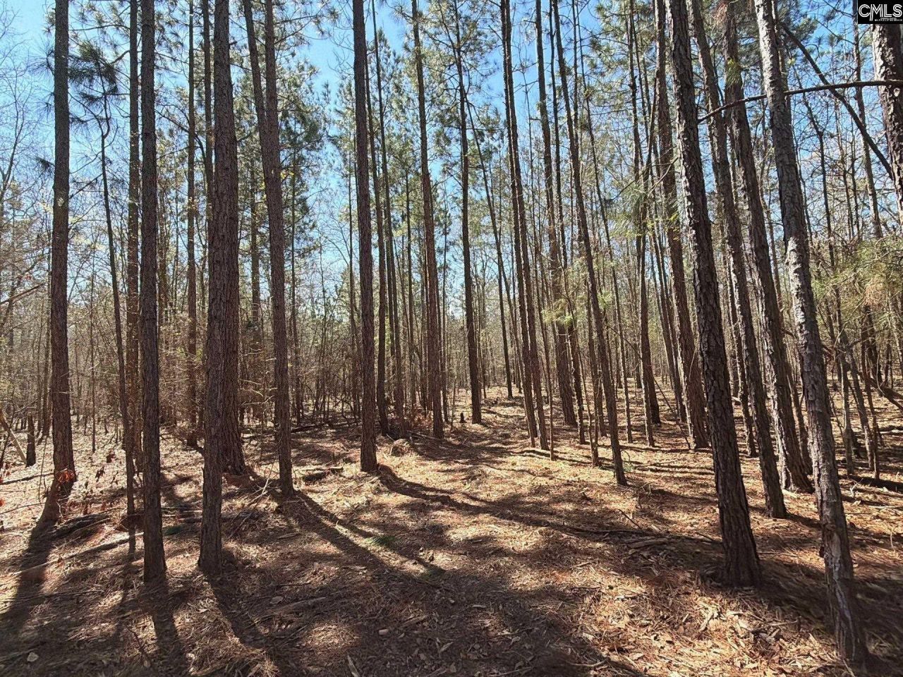 Bhl 10 Boise Cascade Road Photo 4