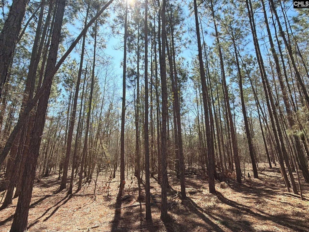 Bhl 10 Boise Cascade Road Photo 5