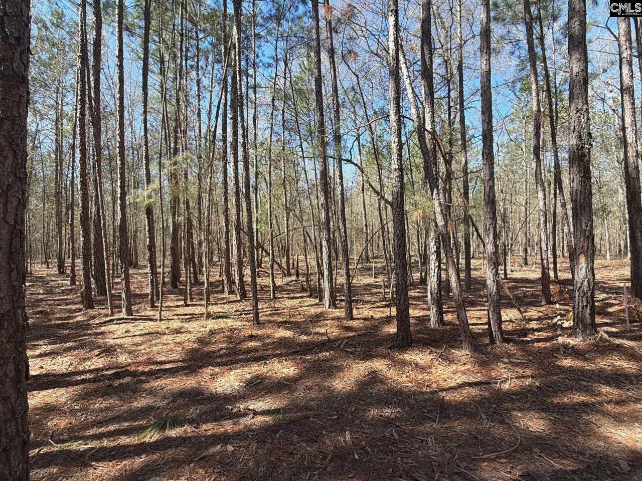 Bhl 10 Boise Cascade Road Photo 6