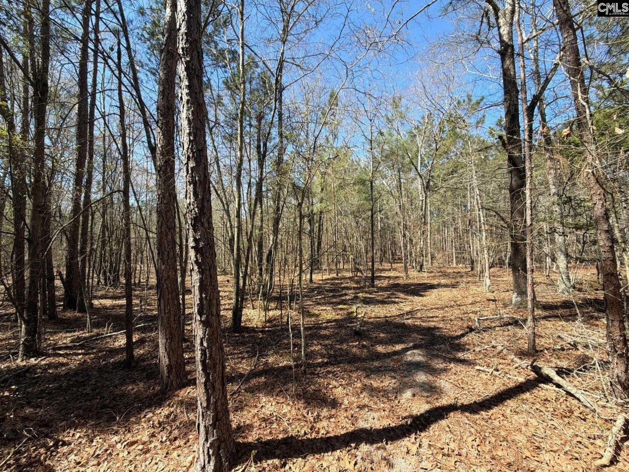 Bhl 10 Boise Cascade Road Photo 8