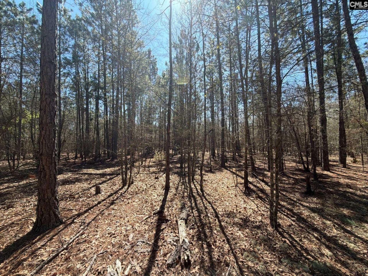 Bhl 10 Boise Cascade Road Photo 9