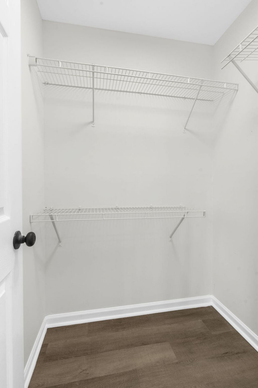 302 Gippy Drive Photo 20