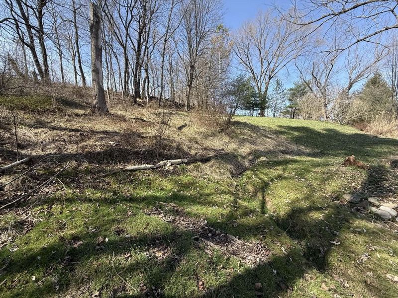 7170 Old Town Road , Mount Perry, OH 43760 Photo 39