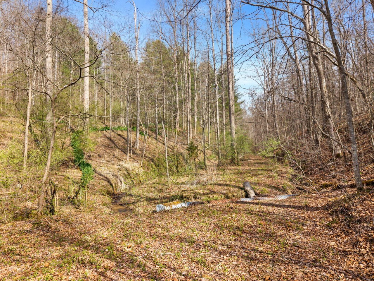 1230 Possom Trot Road Road, Manchester, KY 40962 Main Photo