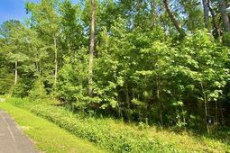 6301 Buttonbush Drive photo 4