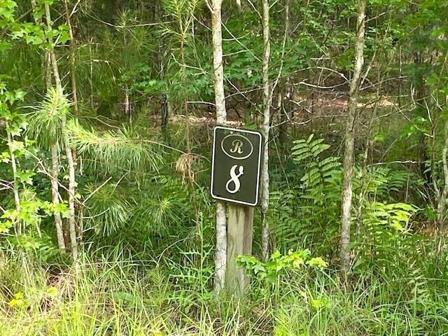 6301 Buttonbush Drive Photo 3