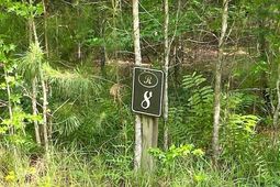 6301 Buttonbush Drive photo 4