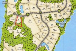 6301 Buttonbush Drive photo 4