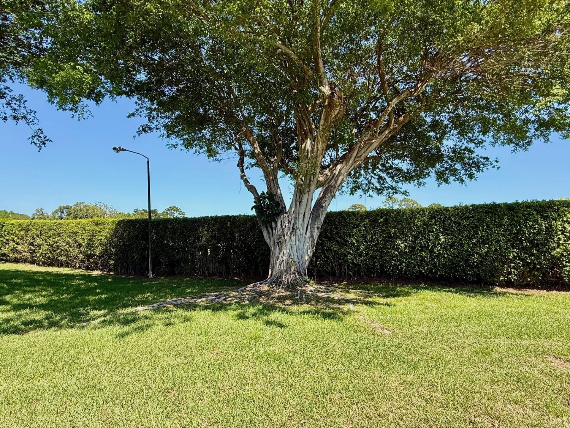 5317 Fig Palm Way, Unit B, Boynton Beach, FL 33437 Photo