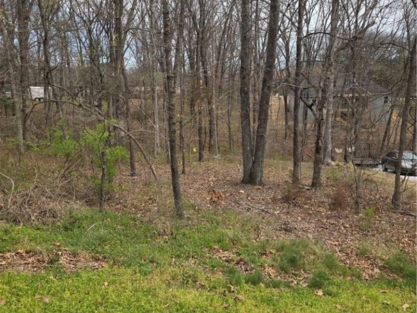 Ravenglass Lane , Bella Vista, AR 72714