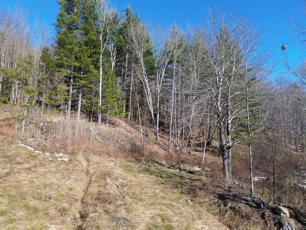 00 Bent Birch Lane, Unit 3, Warren, VT 05674