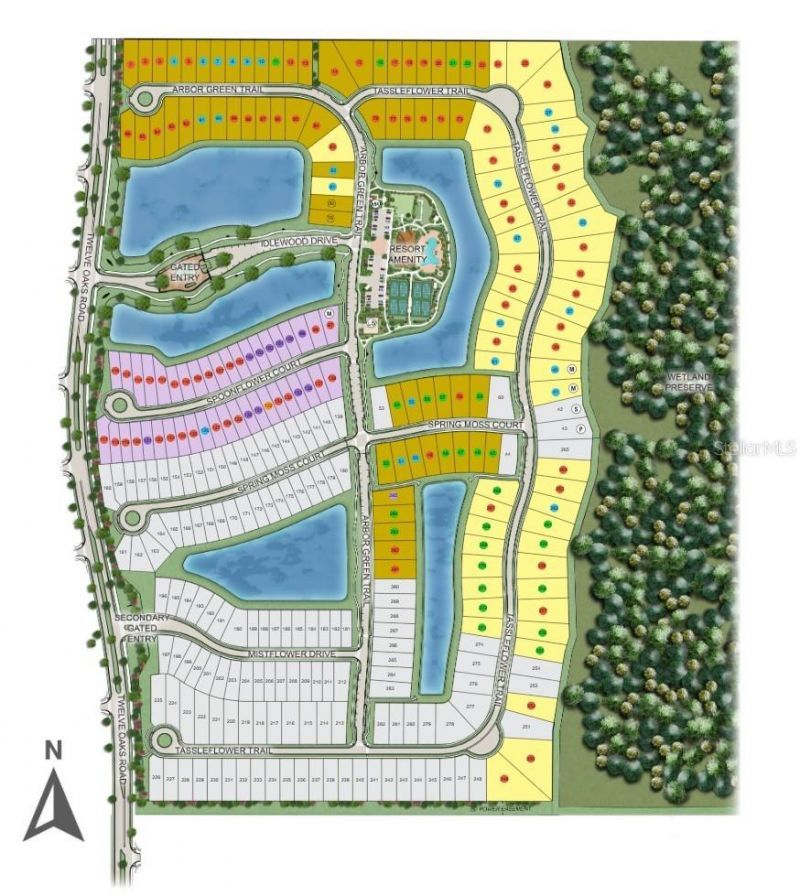 1003 Tassleflower Trail , Saint Cloud, FL 34771 Photo