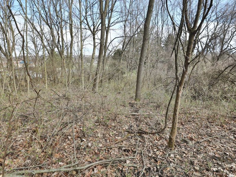 375 N Fostoria Avenue, Springfield, OH 45503 Photo 43