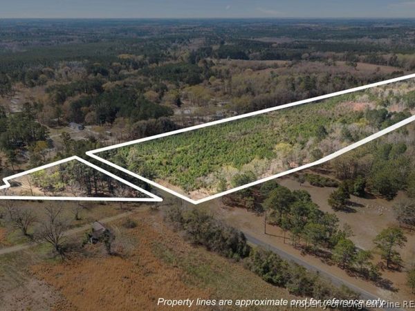 TBD Scholl Road, Hamlet, NC 28345