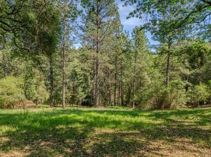 18848 State Highway 88, Pine Grove, CA 95665 Photo
