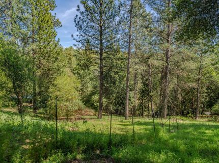 18848 State Highway 88, Pine Grove, CA 95665 Photo