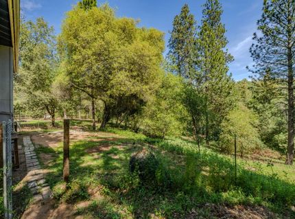 18848 State Highway 88, Pine Grove, CA 95665 Photo