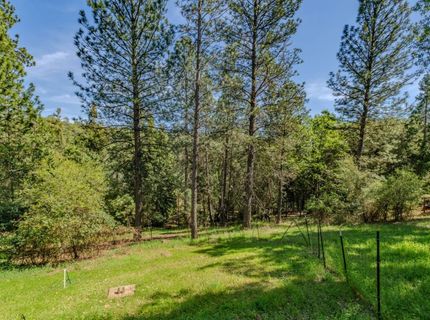 18848 State Highway 88, Pine Grove, CA 95665 Photo
