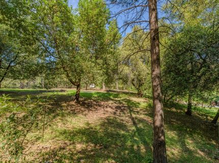 18848 State Highway 88, Pine Grove, CA 95665 Photo