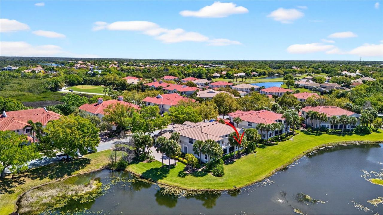 926 River Basin Court, Unit 101, Bradenton, FL 34212 Photo