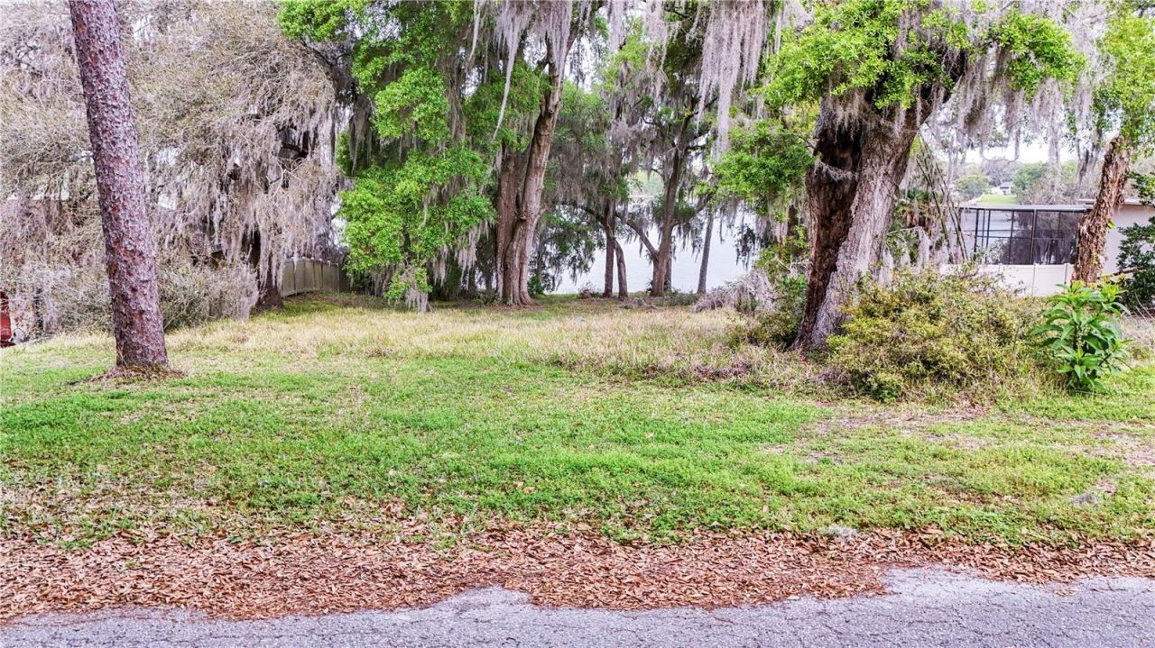 Tbd Lot 01000 Silver Drive, Umatilla, FL 32784 Photo