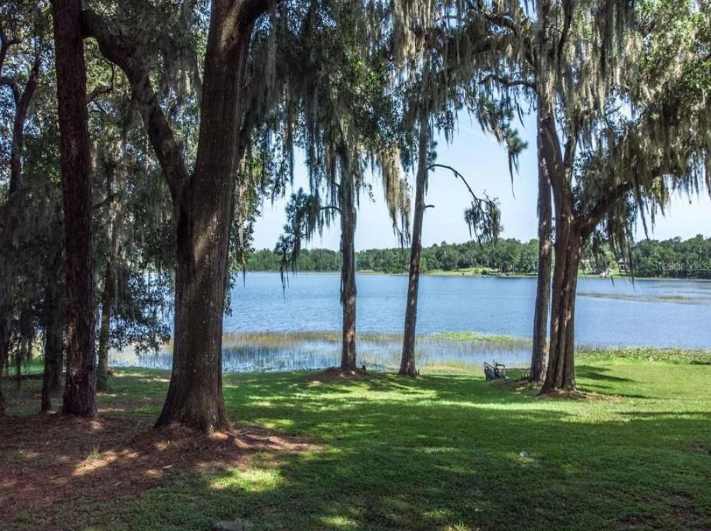 Tbd Lot 01000 Silver Drive, Umatilla, FL 32784 Photo