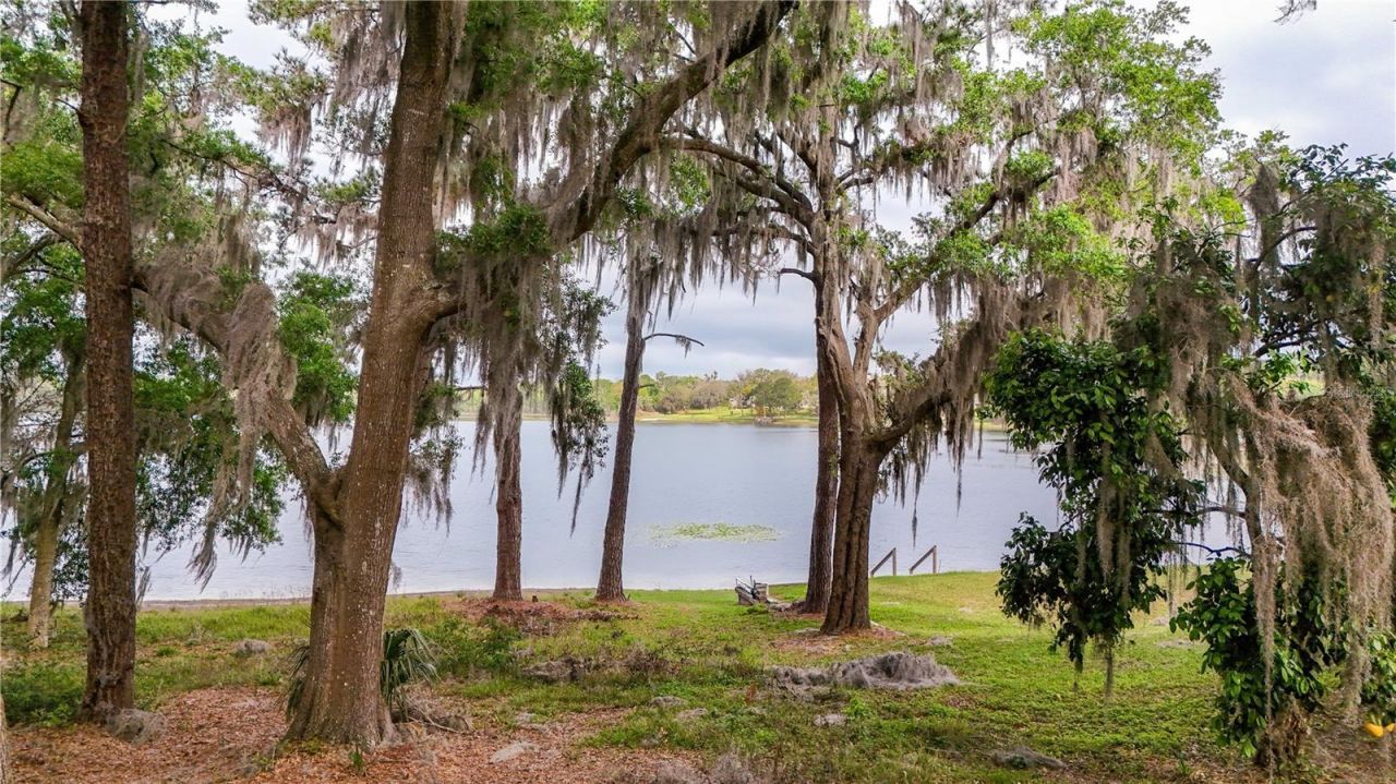 Tbd Lot 01000 Silver Drive, Umatilla, FL 32784 Photo