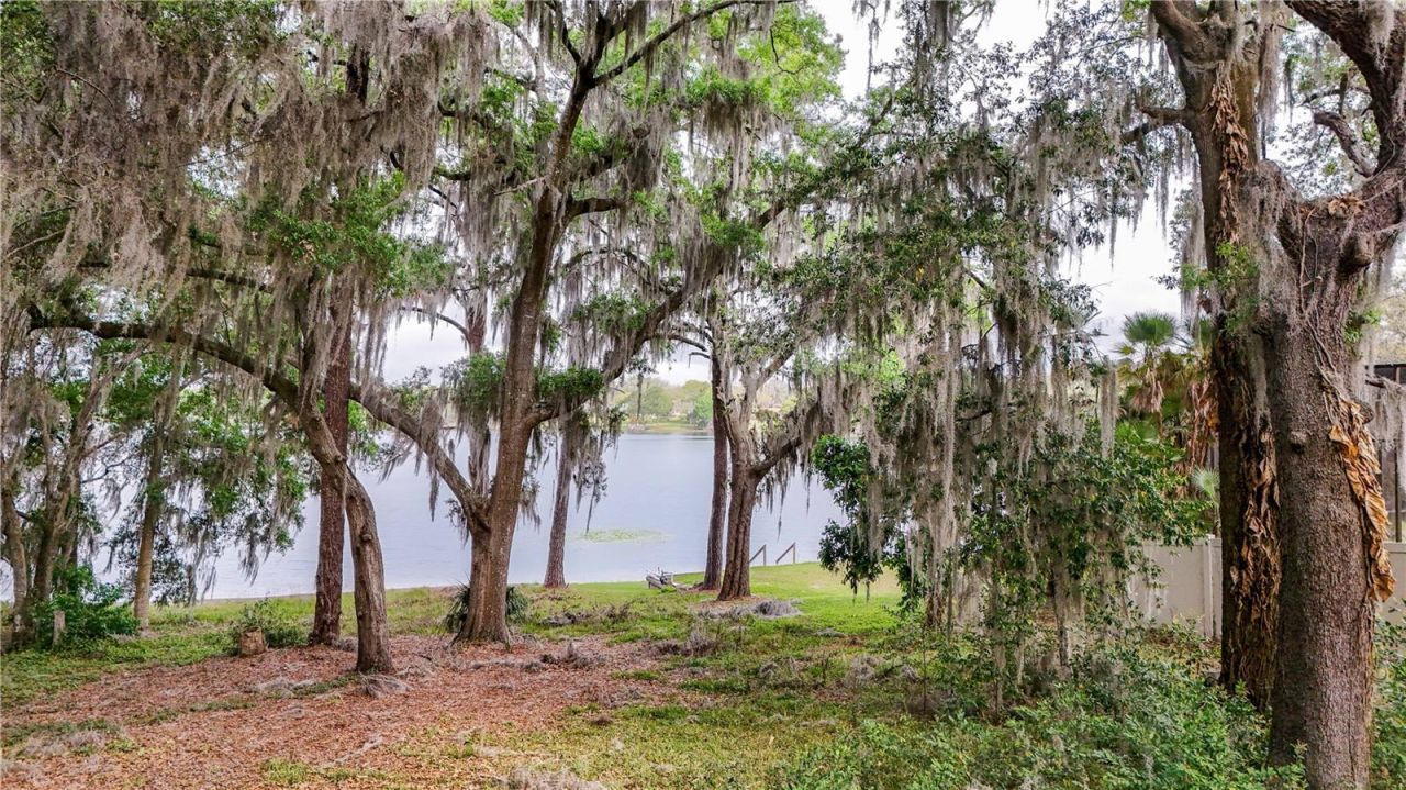 Tbd Lot 01000 Silver Drive, Umatilla, FL 32784 Photo