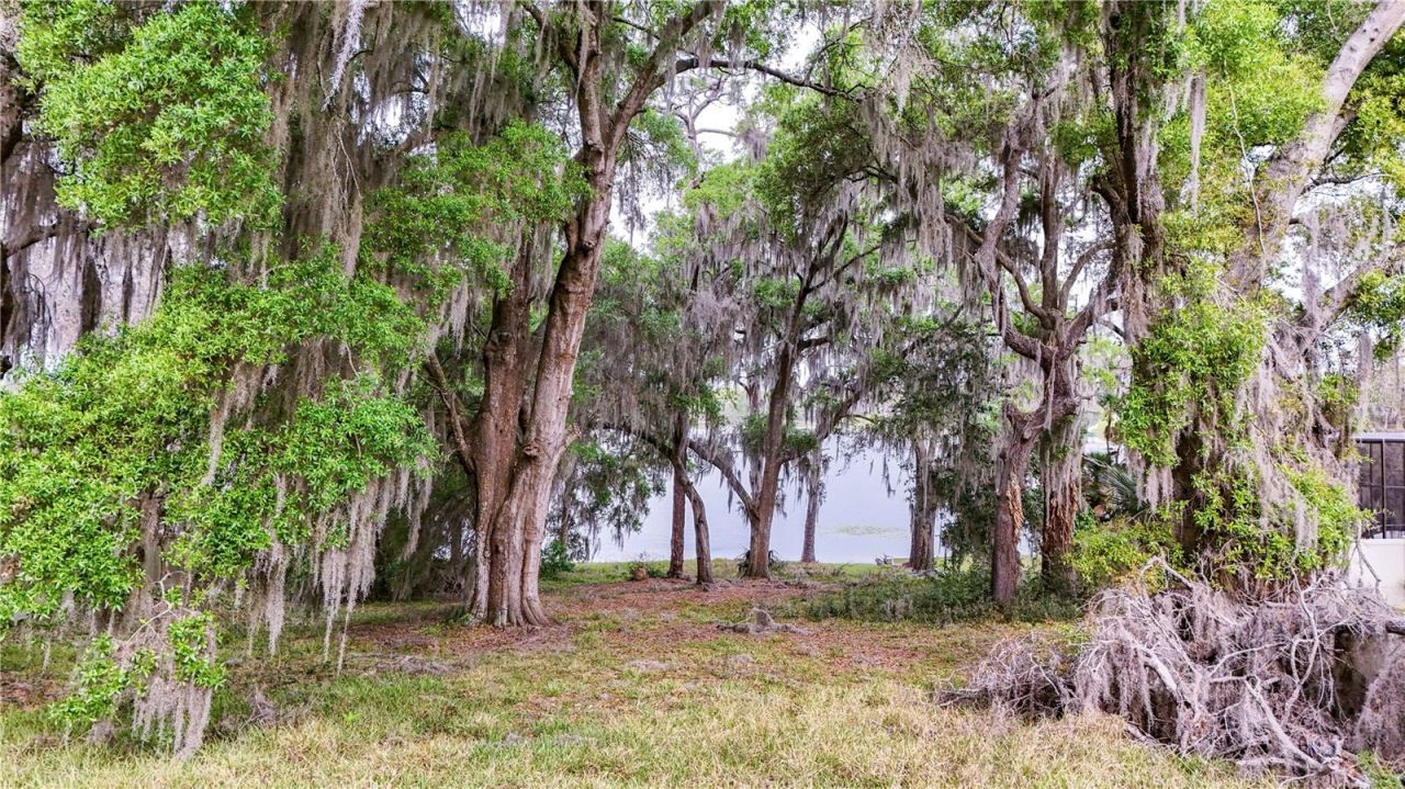 Tbd Lot 01000 Silver Drive, Umatilla, FL 32784 Photo