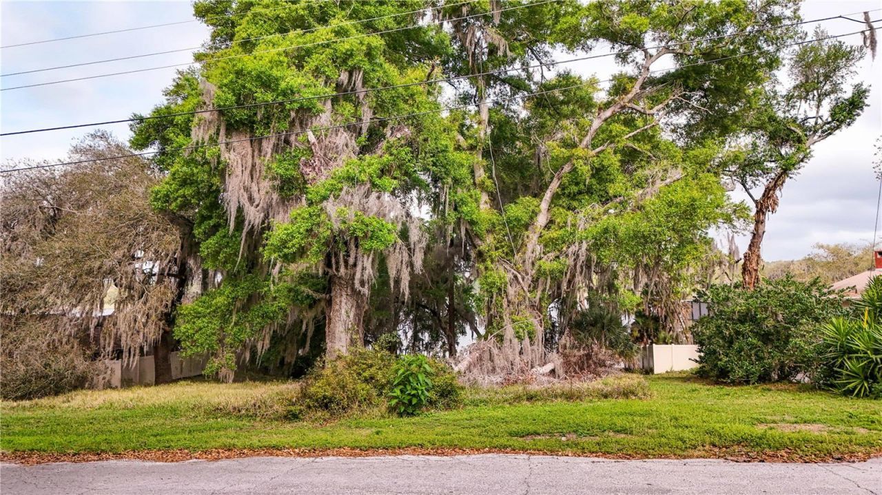 Tbd Lot 01000 Silver Drive, Umatilla, FL 32784 Photo
