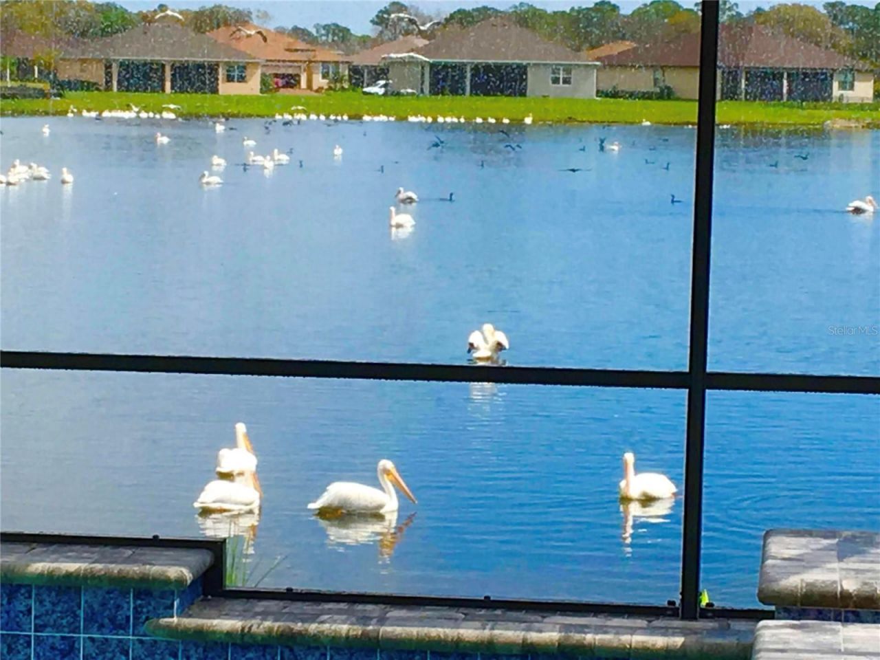 1025 Siberian Glen, Bradenton, FL 34212 Photo