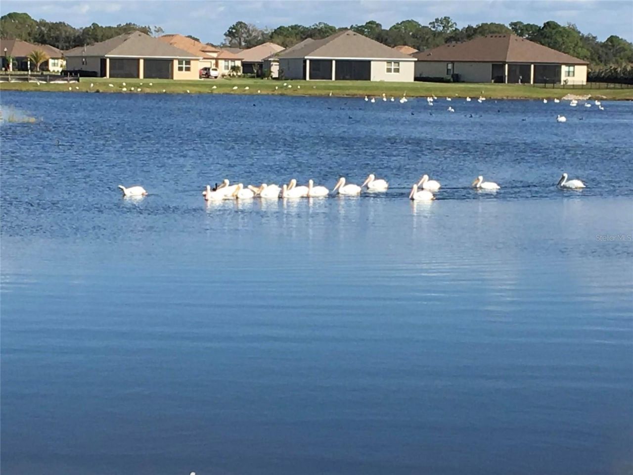 1025 Siberian Glen, Bradenton, FL 34212 Photo